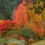 High autumn from my window