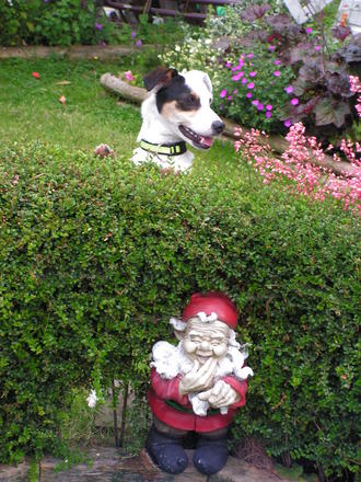 just having a look over the hedge