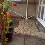 more of my crazy patio