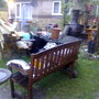my poor grass