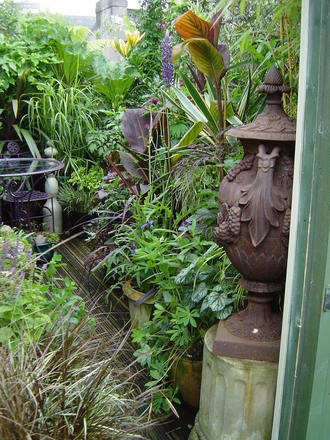 View from the side door to the garden. June 21st 2008