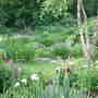 Dscf0003