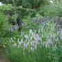 Dscf0012