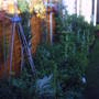 Picture_029.jpg