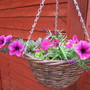 These are, erm...er...in a basket.