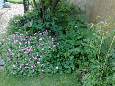 22062008239.jpg