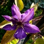 P1020448