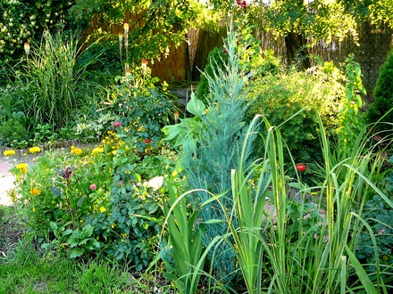 Borders at bottom of path in back garden.