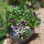 Big Blue Pot