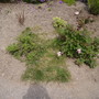 Pict0358