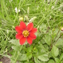 Pict0366
