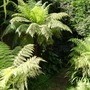 23_june_009