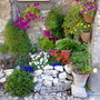 Little_garden