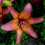 P1020472