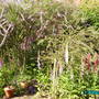 Summer_2008_004