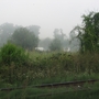 Misty_trackline