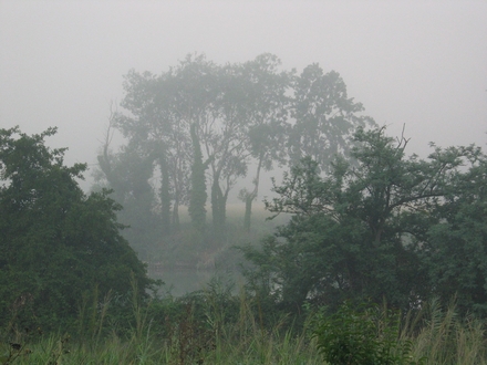 Misty moisty morning