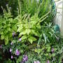 Garden_june_2008_012