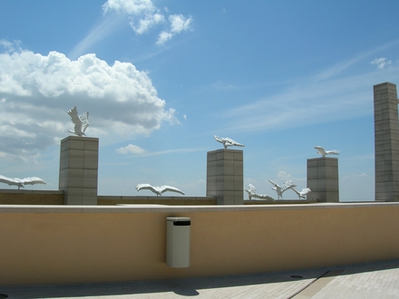 marble doves