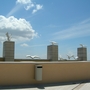 Marble_doves