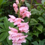 22_june_08_002