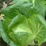 Dscf0022