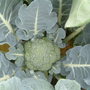 Dscf0023