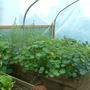 Dscf0024