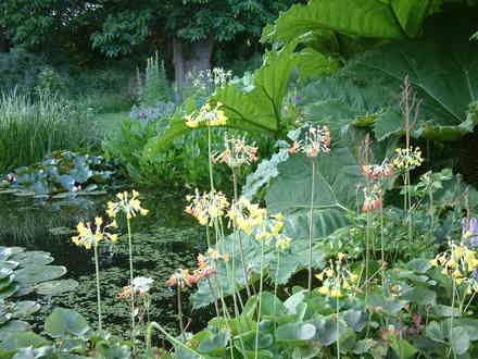 The Pond Stockton Bury
