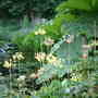 Dscf0007