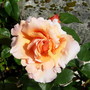 Dscn0834