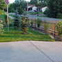 Part of the backyard