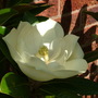 Imported_photos_00068
