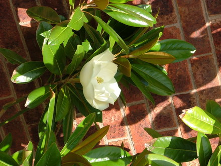 Imported_Photos_00071.jpg