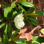 Imported_photos_00071