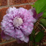 Imported_photos_00072