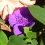 Imported_Photos_00074.jpg