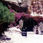 Petra_cafe___bookstore