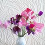 Picture_104