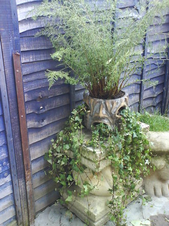 a mouth/strawberry pot