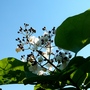 P1020491
