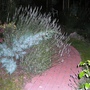 P1020503
