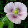 P1020511