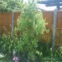 28th_april_08_208