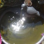 Solar Water feature