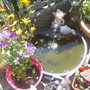water feature on patio