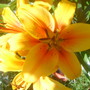 28th_april_08_230