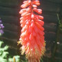28th_april_08_232