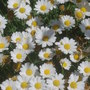 28th_april_08_266