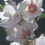 28th_april_08_272